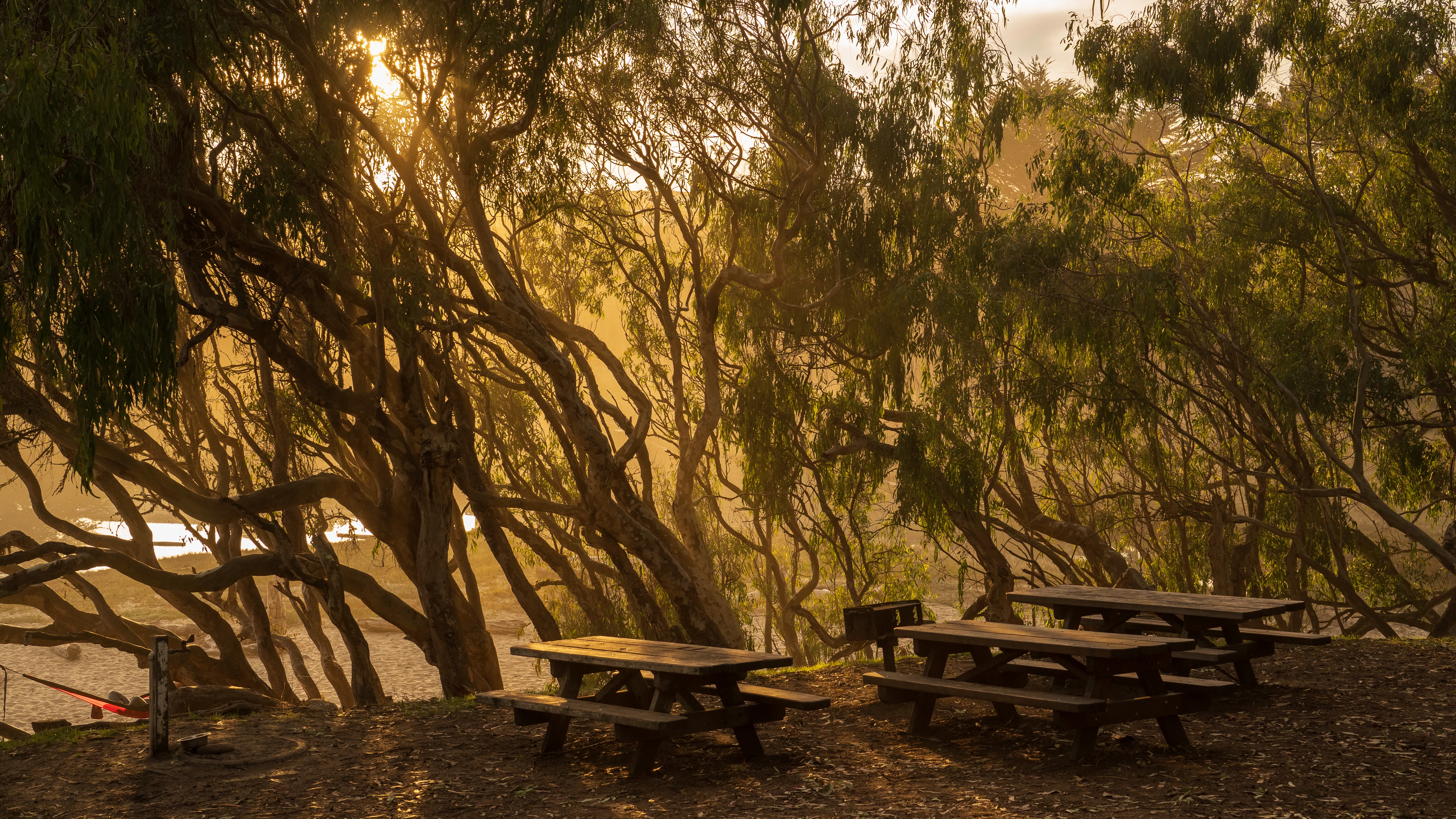 Bay Area park