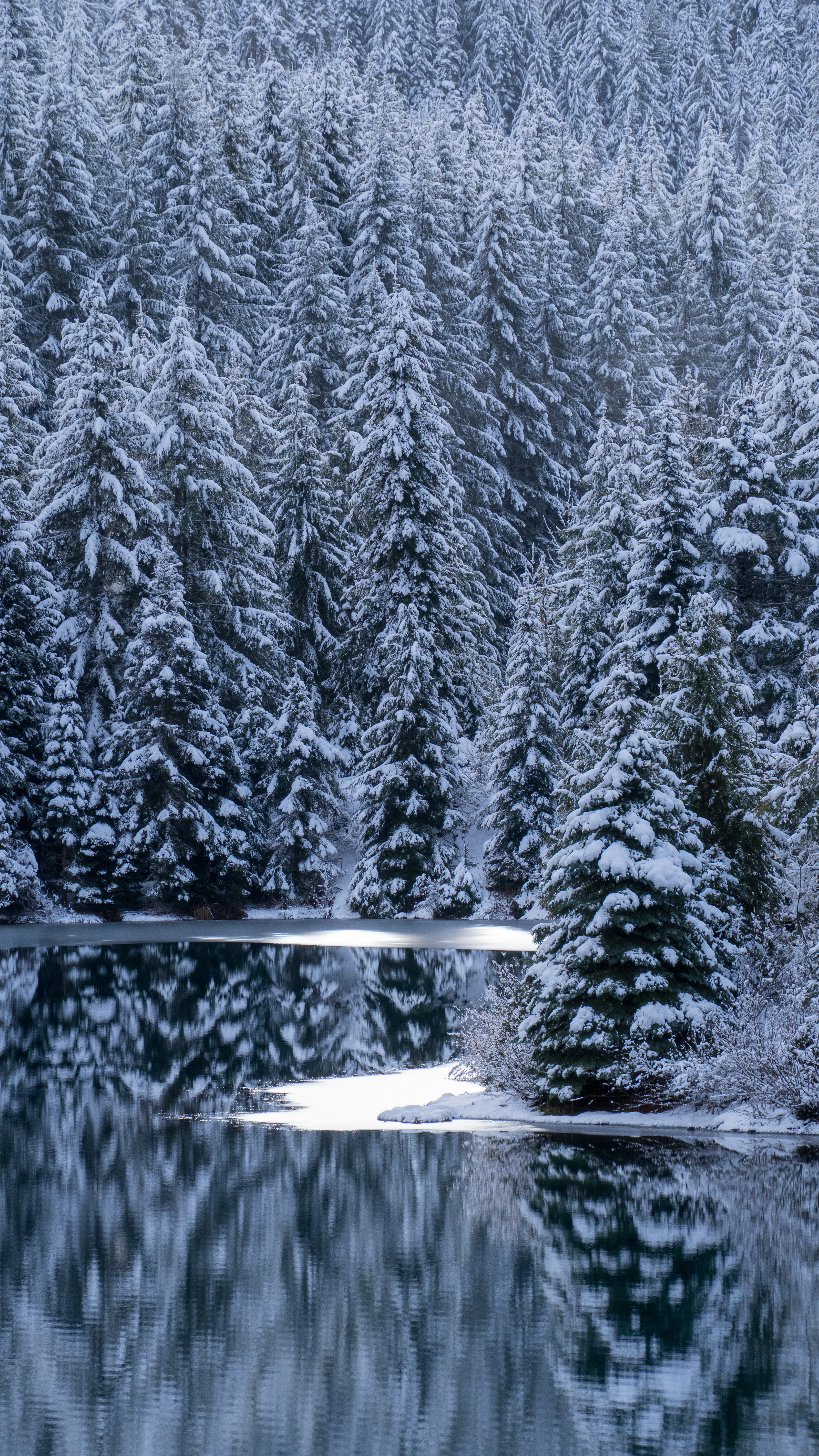 Gold Creek Pond