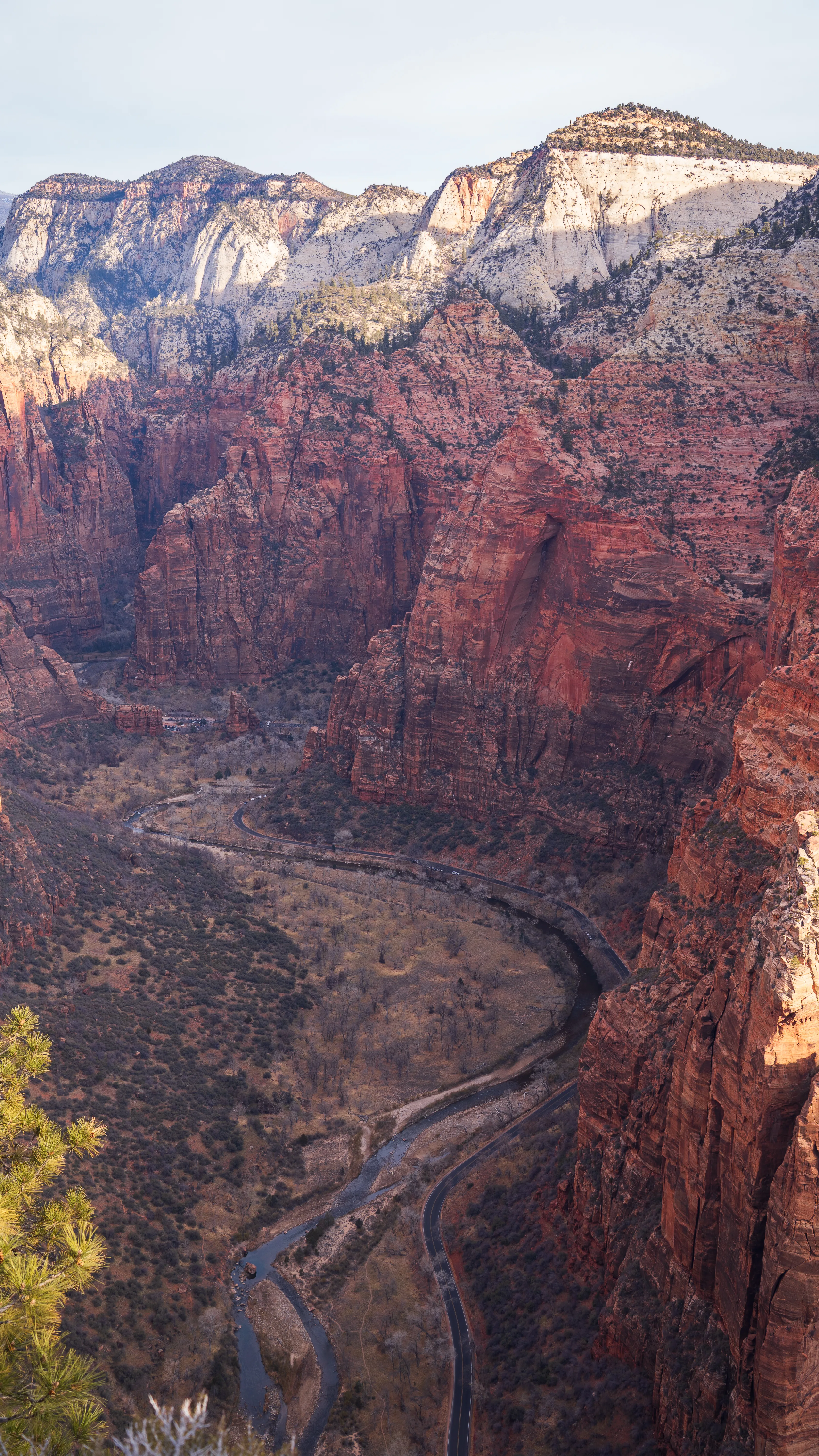 Zion NP