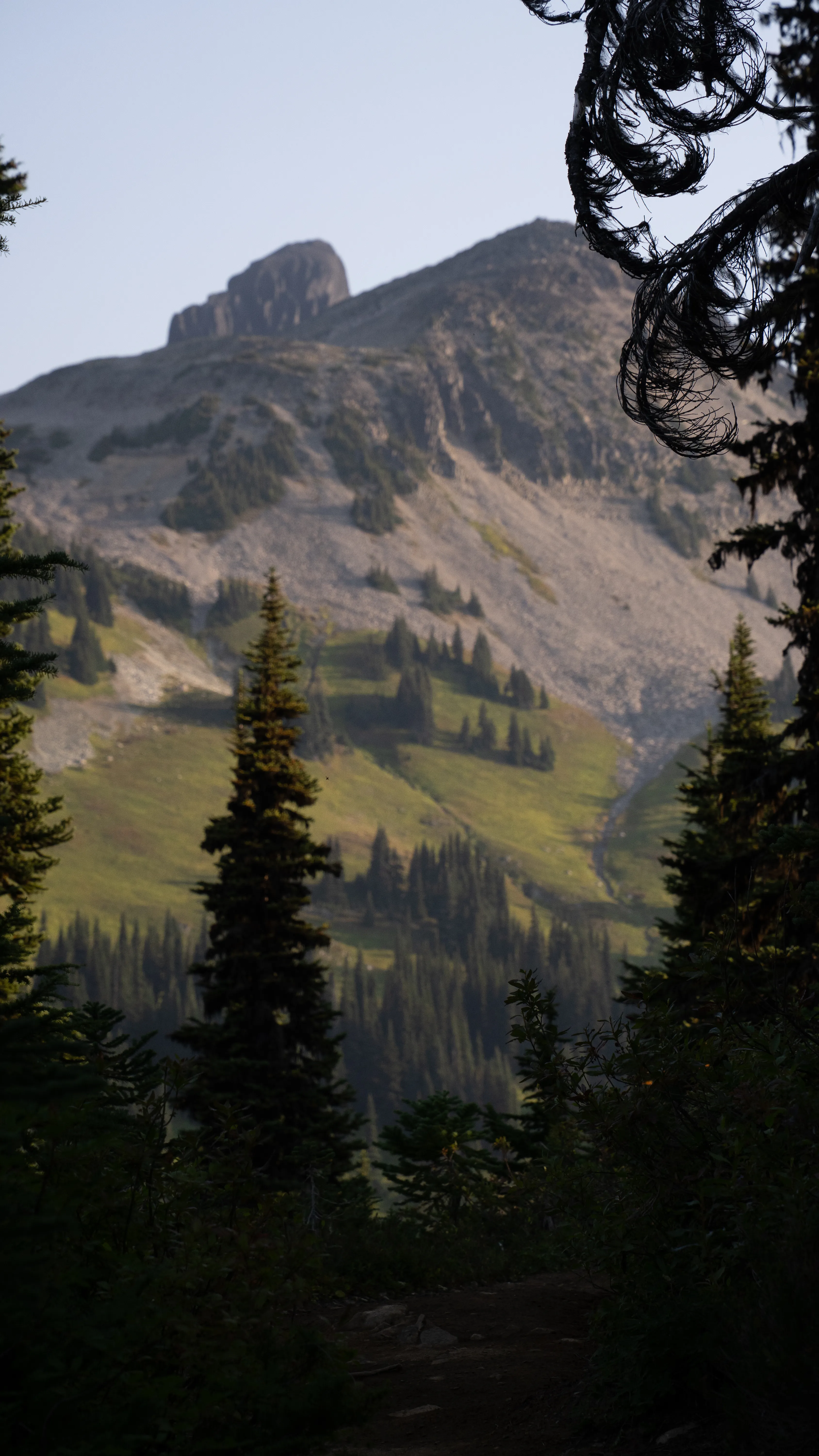 Panorama Ridge