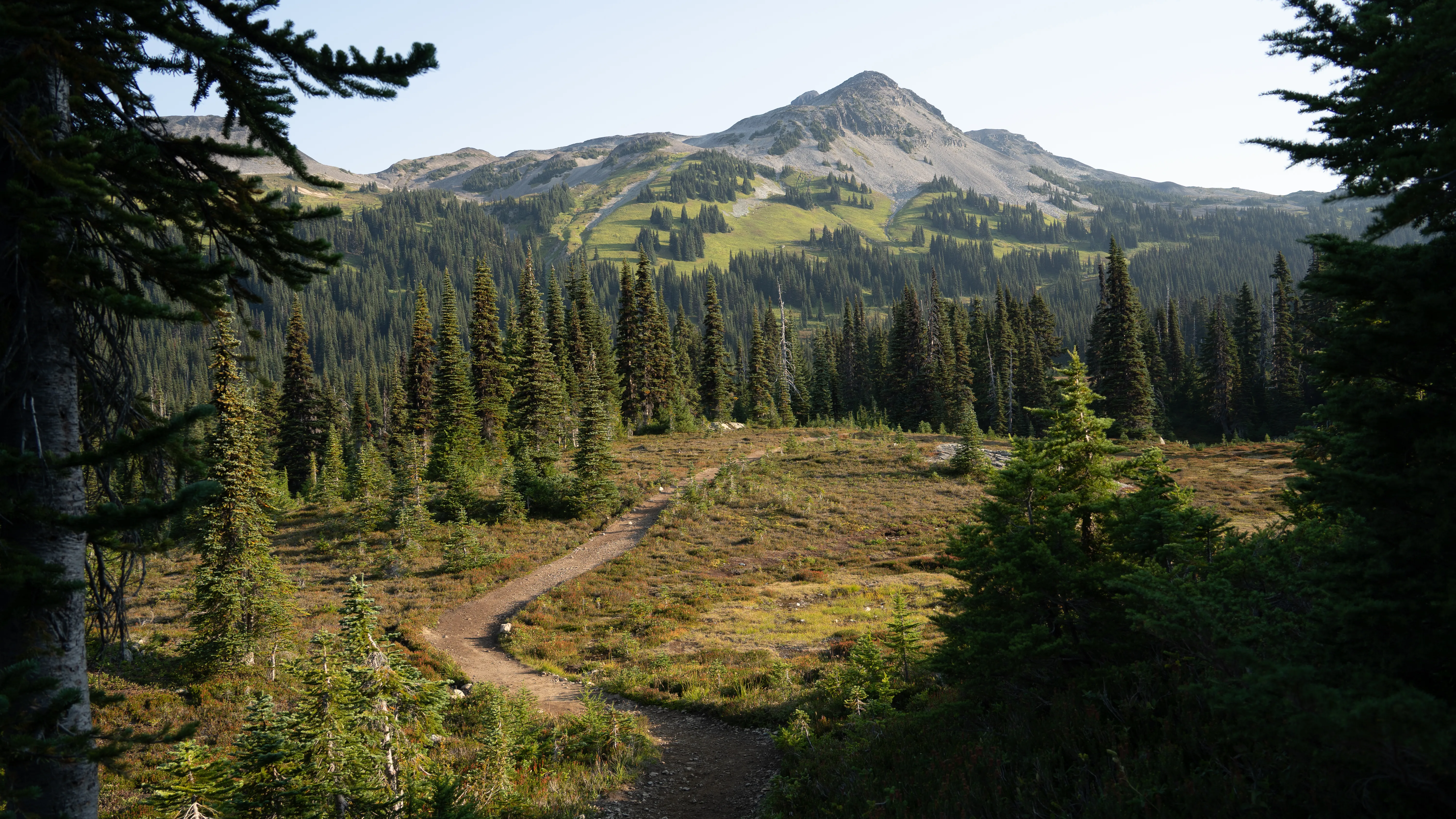 Panorama Ridge