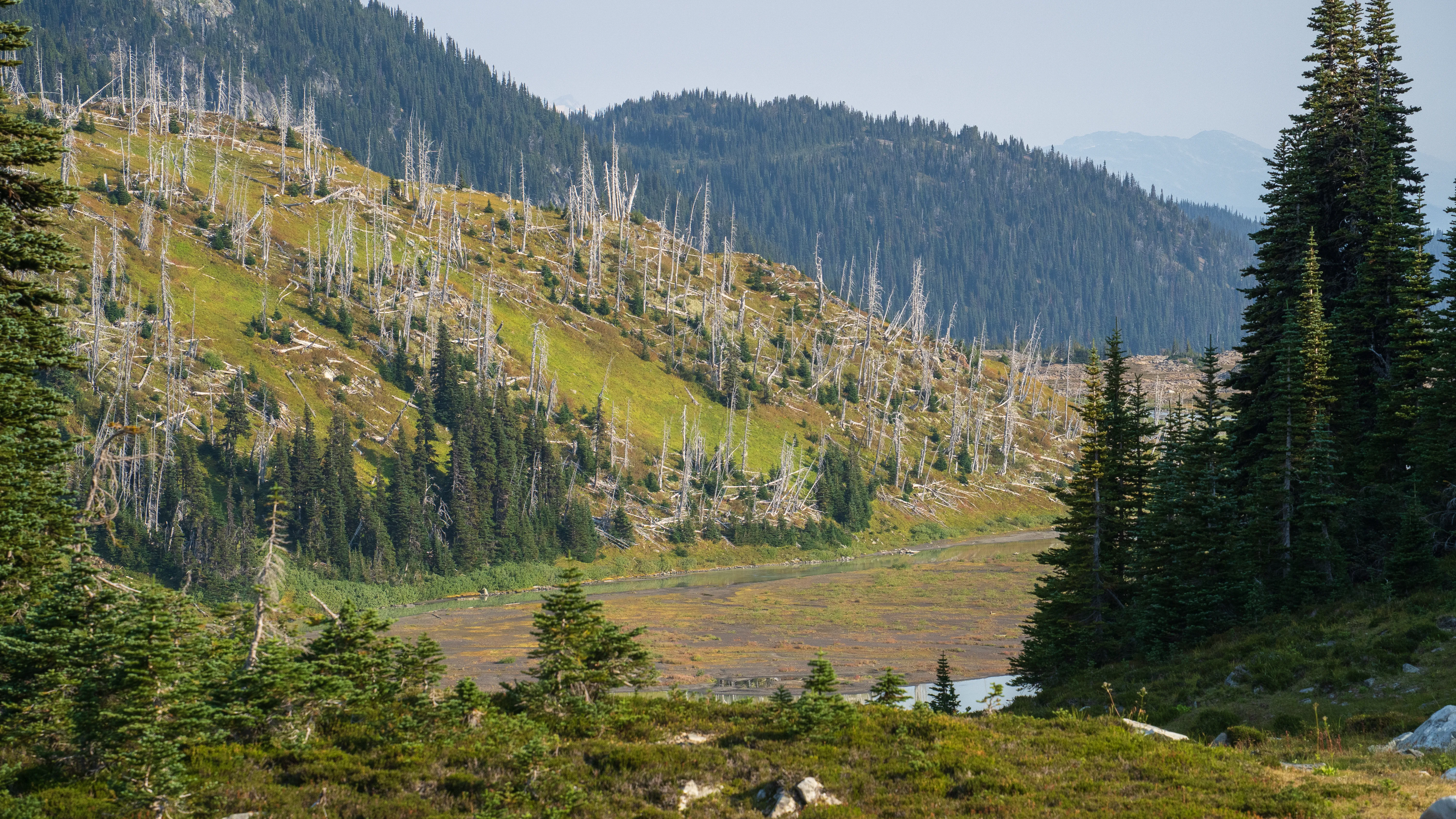Panorama Ridge