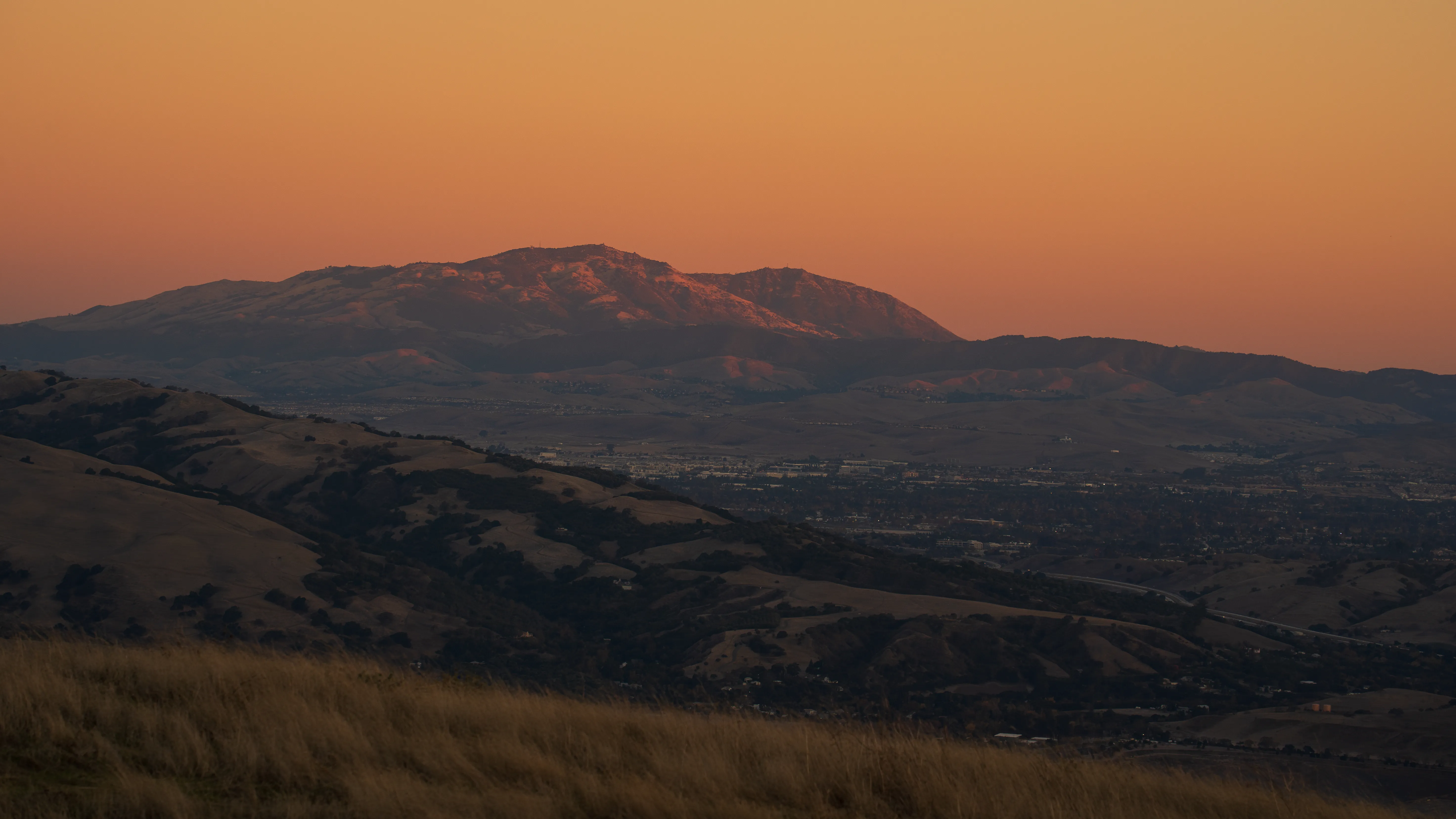 Bay Area